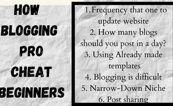 How Blogging Pro Cheat Beginners