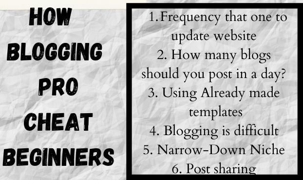 How Blogging Pro Cheat Beginners