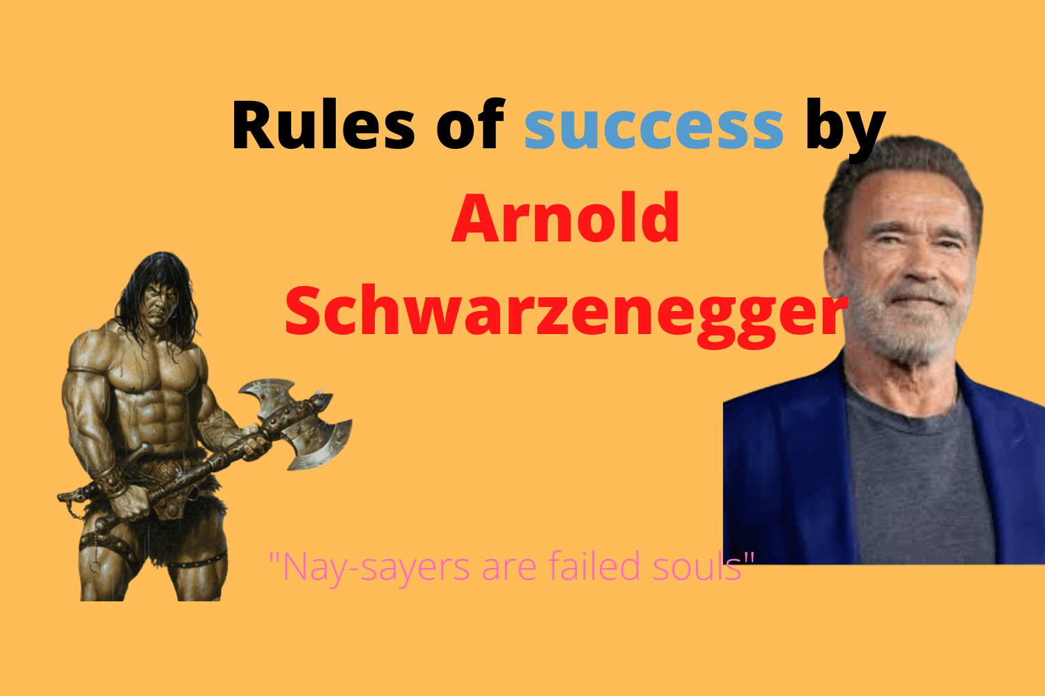 laws of success by Arnold Schwarzenegger