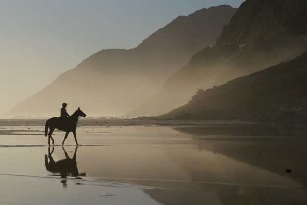 Horse, Mountains, Lagoon-5101069.jpg